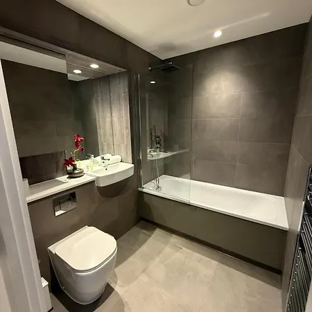 Stylish Two Bedroom - Two Bathrooms - Balcony - Fast Wifi 405sw Apartment Birmingham
